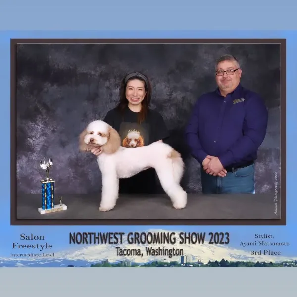 dog grooming competition photo