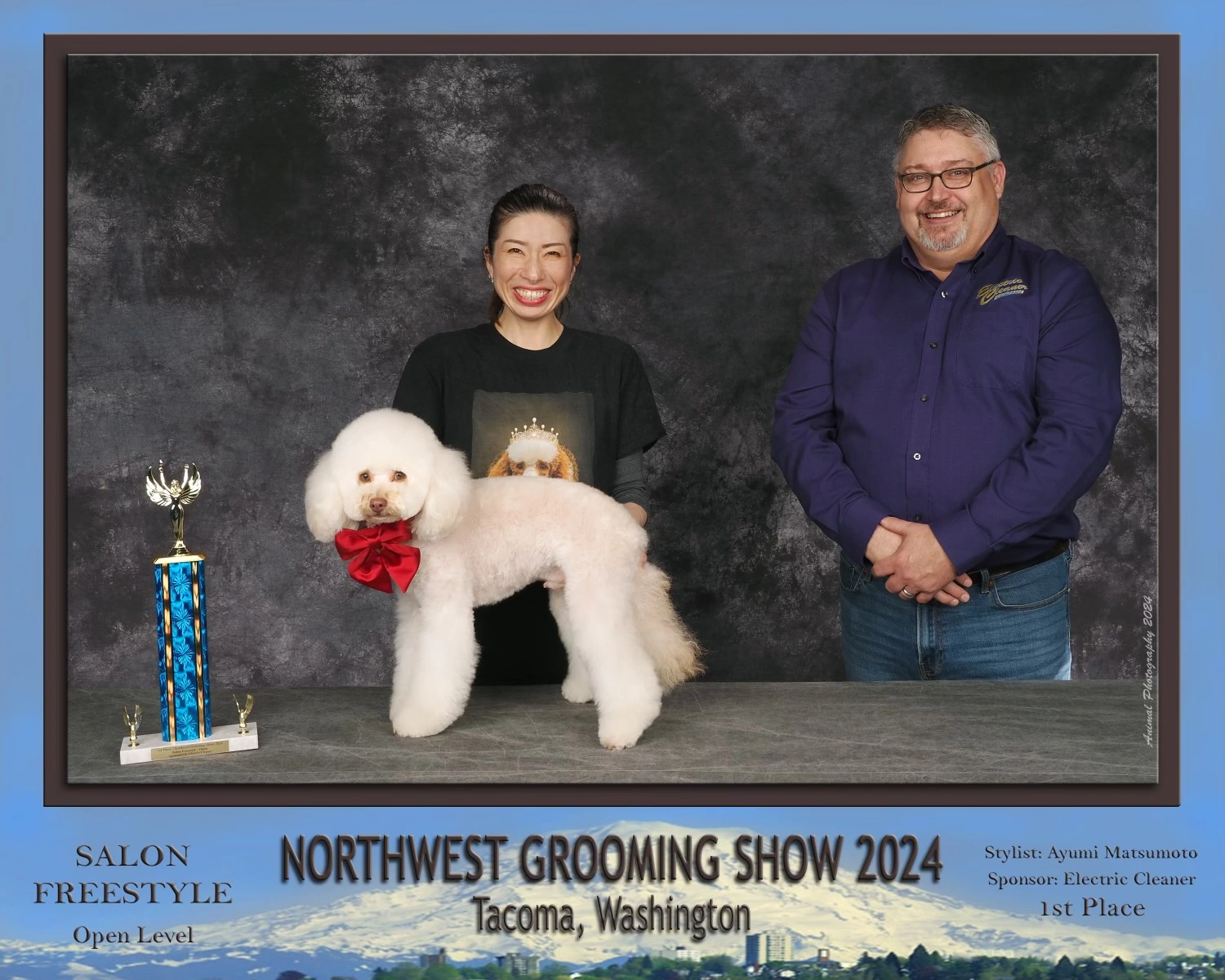 dog grooming competition photo